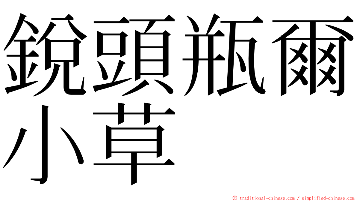 銳頭瓶爾小草 ming font