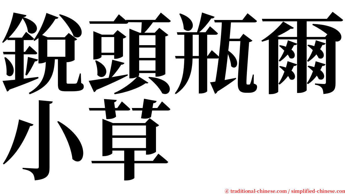 銳頭瓶爾小草 serif font