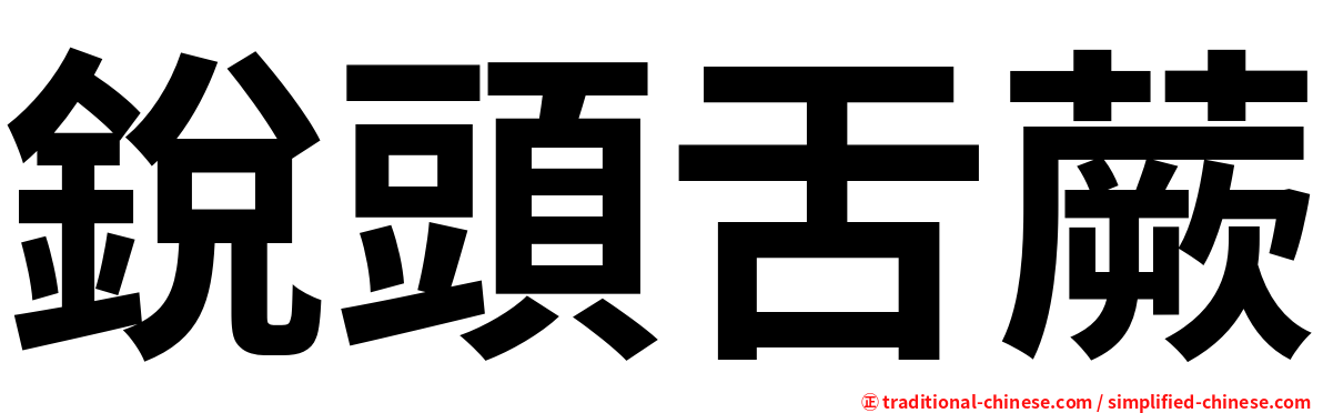 銳頭舌蕨