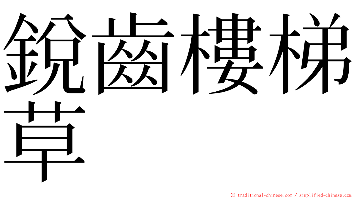 銳齒樓梯草 ming font