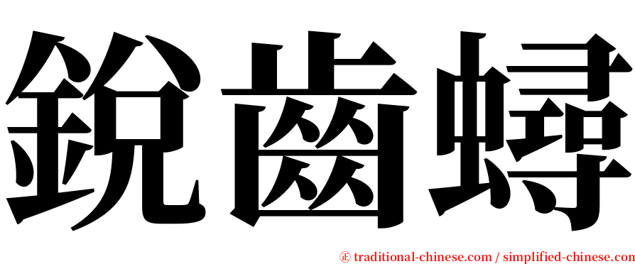 銳齒蟳 serif font