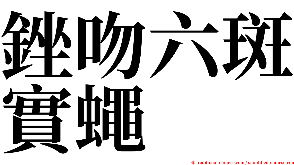 銼吻六斑實蠅 serif font