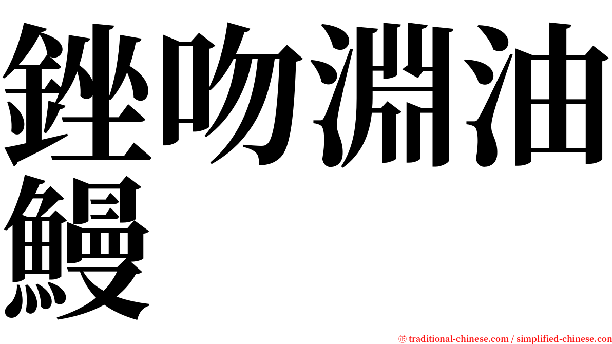 銼吻淵油鰻 serif font