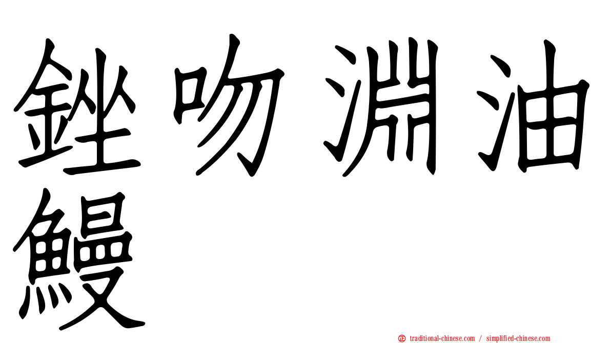 銼吻淵油鰻