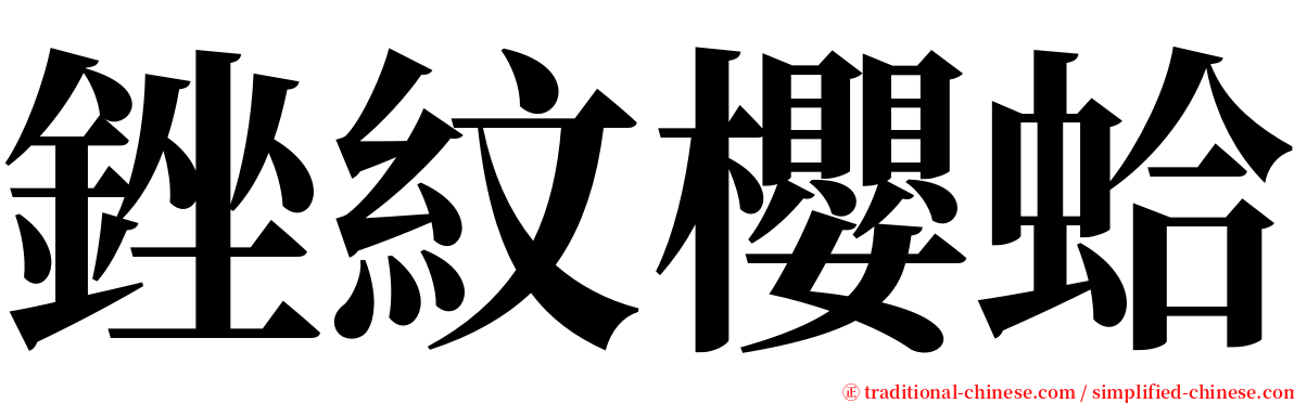 銼紋櫻蛤 serif font