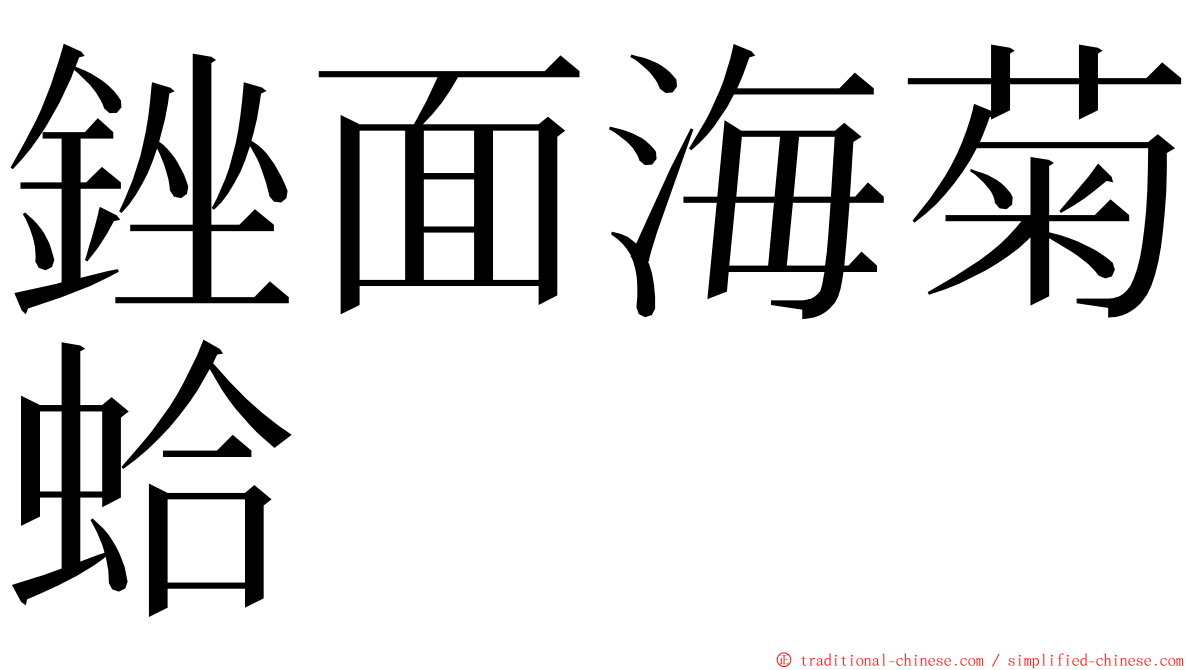 銼面海菊蛤 ming font