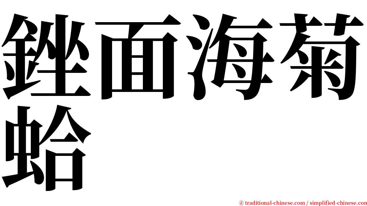 銼面海菊蛤 serif font