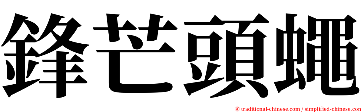 鋒芒頭蠅 serif font