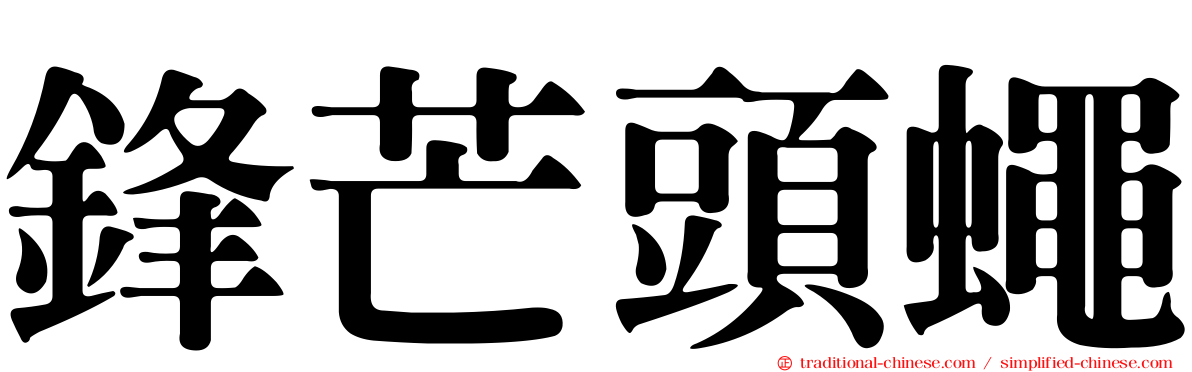 鋒芒頭蠅