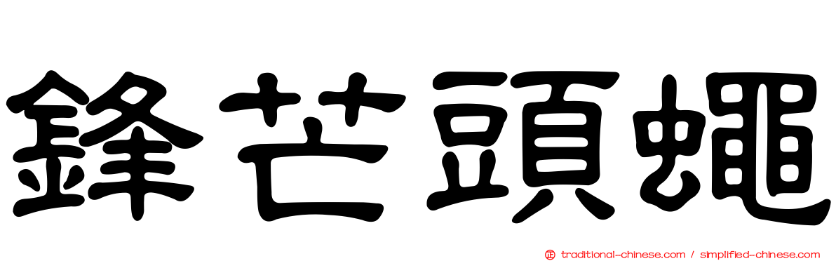 鋒芒頭蠅