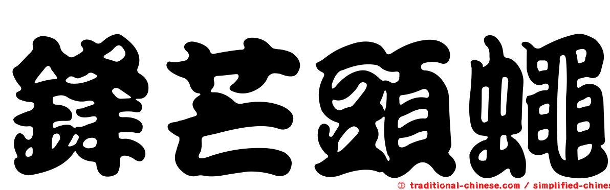 鋒芒頭蠅