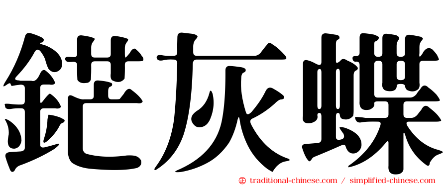 鋩灰蝶