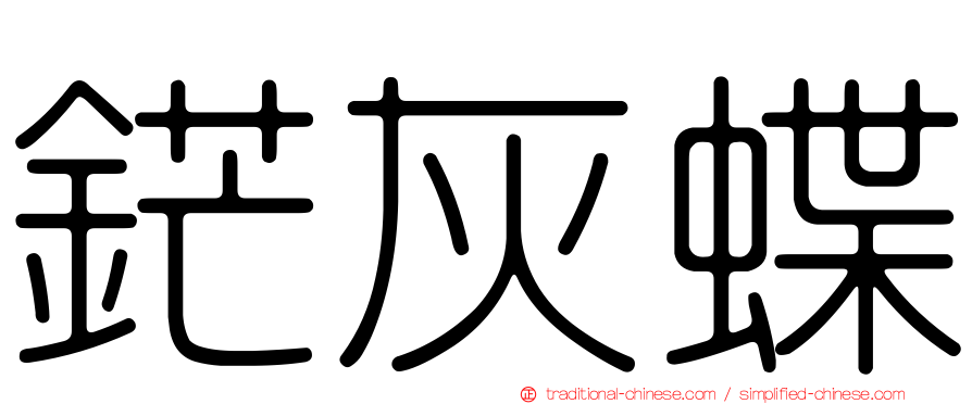 鋩灰蝶