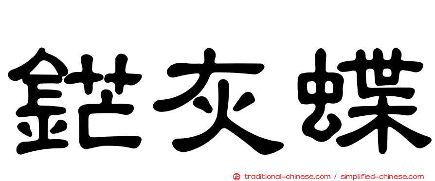 鋩灰蝶