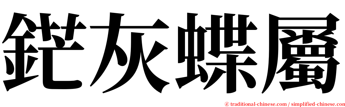 鋩灰蝶屬 serif font