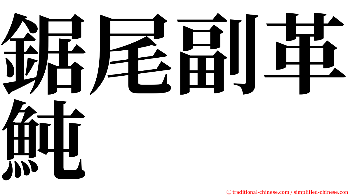 鋸尾副革魨 serif font