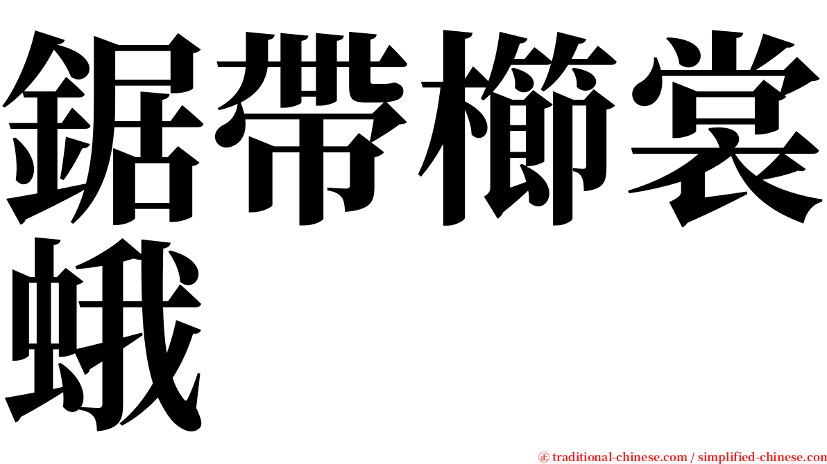 鋸帶櫛裳蛾 serif font