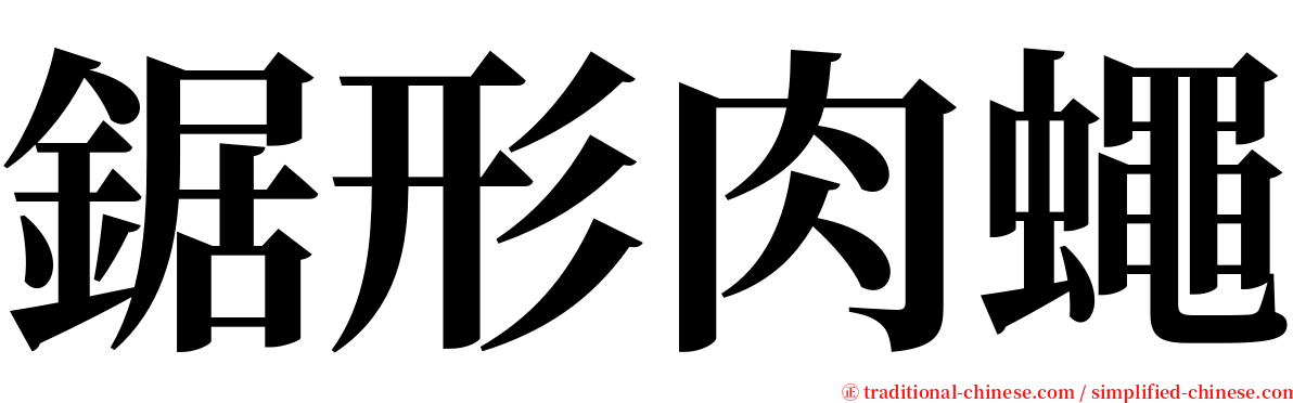 鋸形肉蠅 serif font