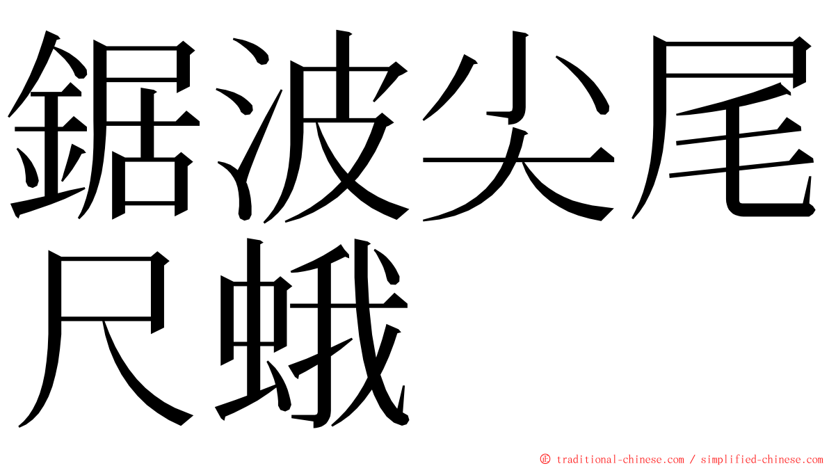 鋸波尖尾尺蛾 ming font