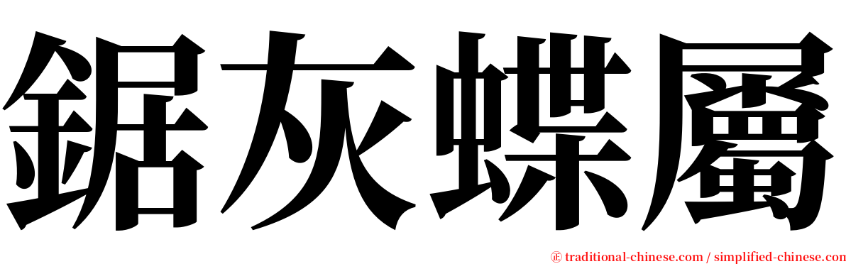 鋸灰蝶屬 serif font