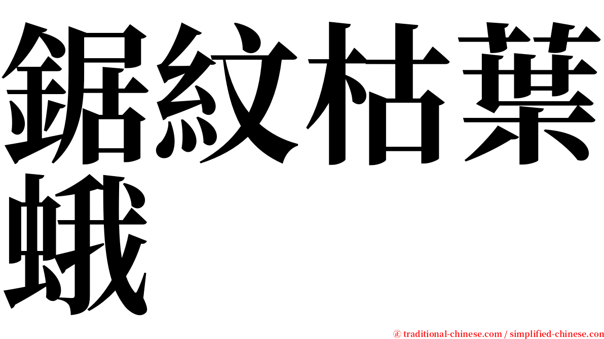 鋸紋枯葉蛾 serif font