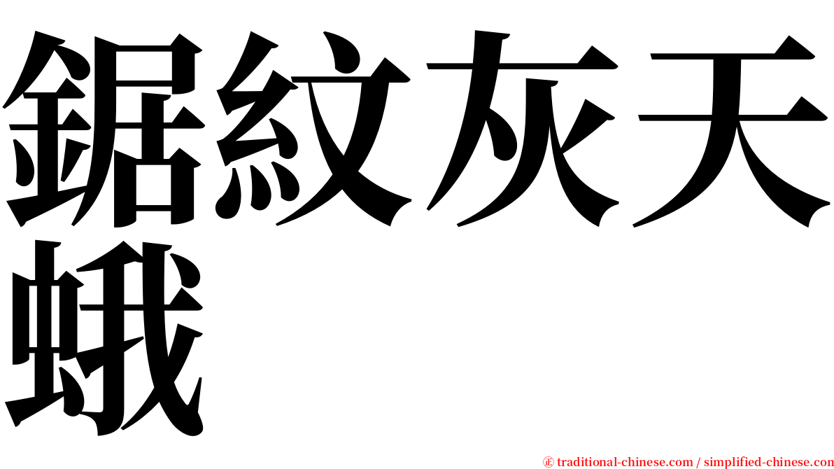 鋸紋灰天蛾 serif font