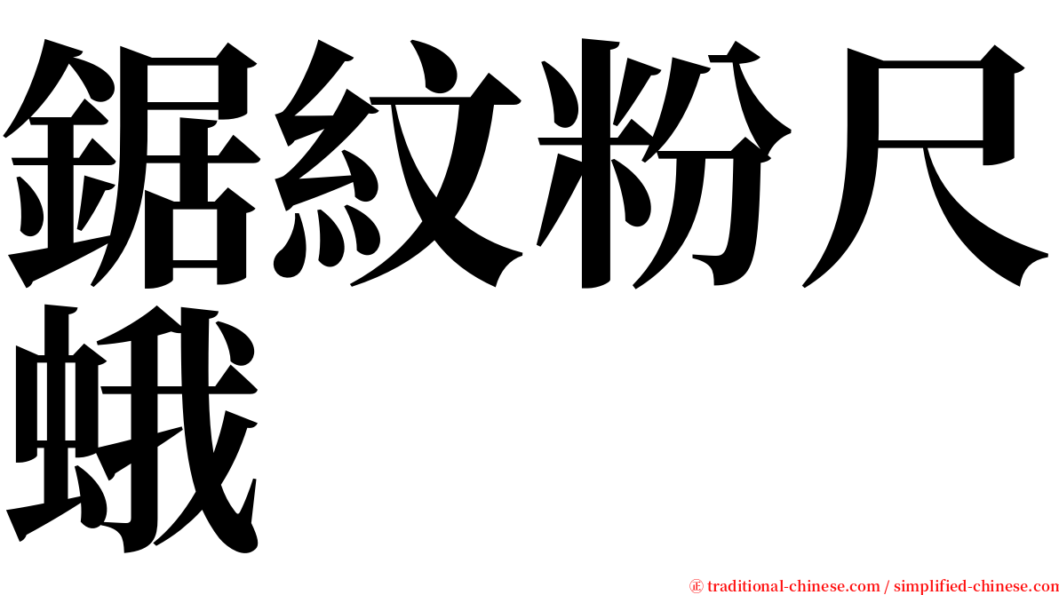 鋸紋粉尺蛾 serif font