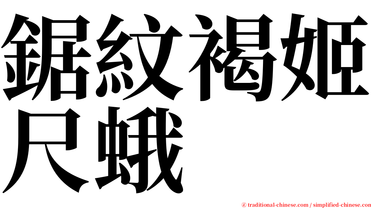 鋸紋褐姬尺蛾 serif font