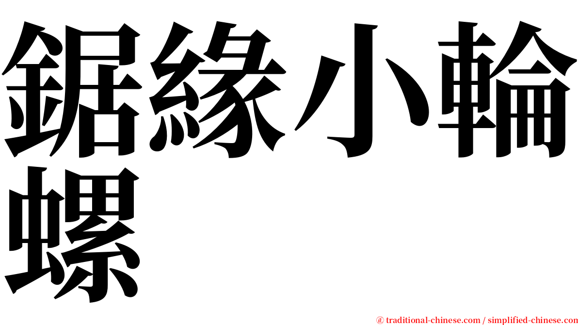 鋸緣小輪螺 serif font