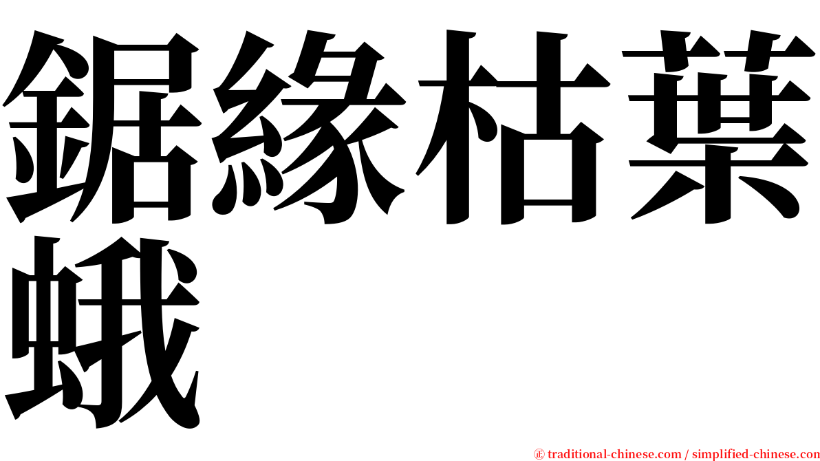 鋸緣枯葉蛾 serif font