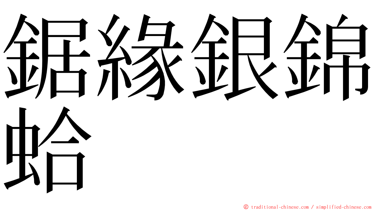 鋸緣銀錦蛤 ming font