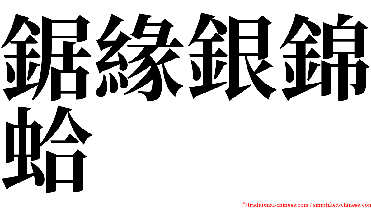 鋸緣銀錦蛤 serif font