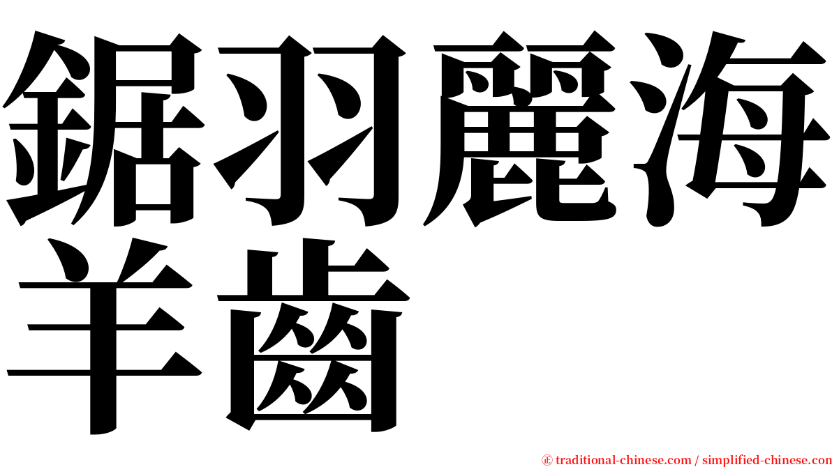 鋸羽麗海羊齒 serif font