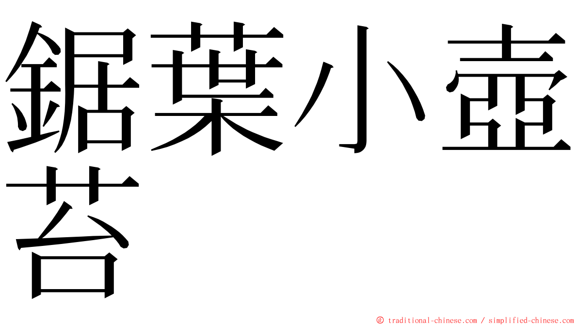 鋸葉小壺苔 ming font