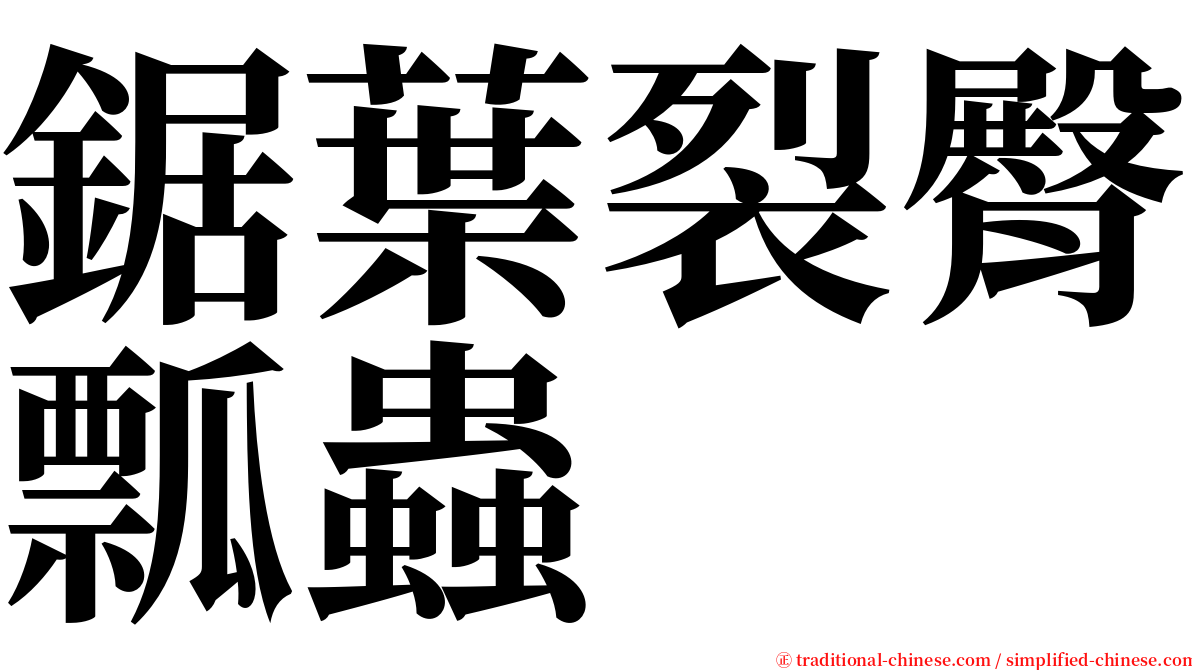 鋸葉裂臀瓢蟲 serif font