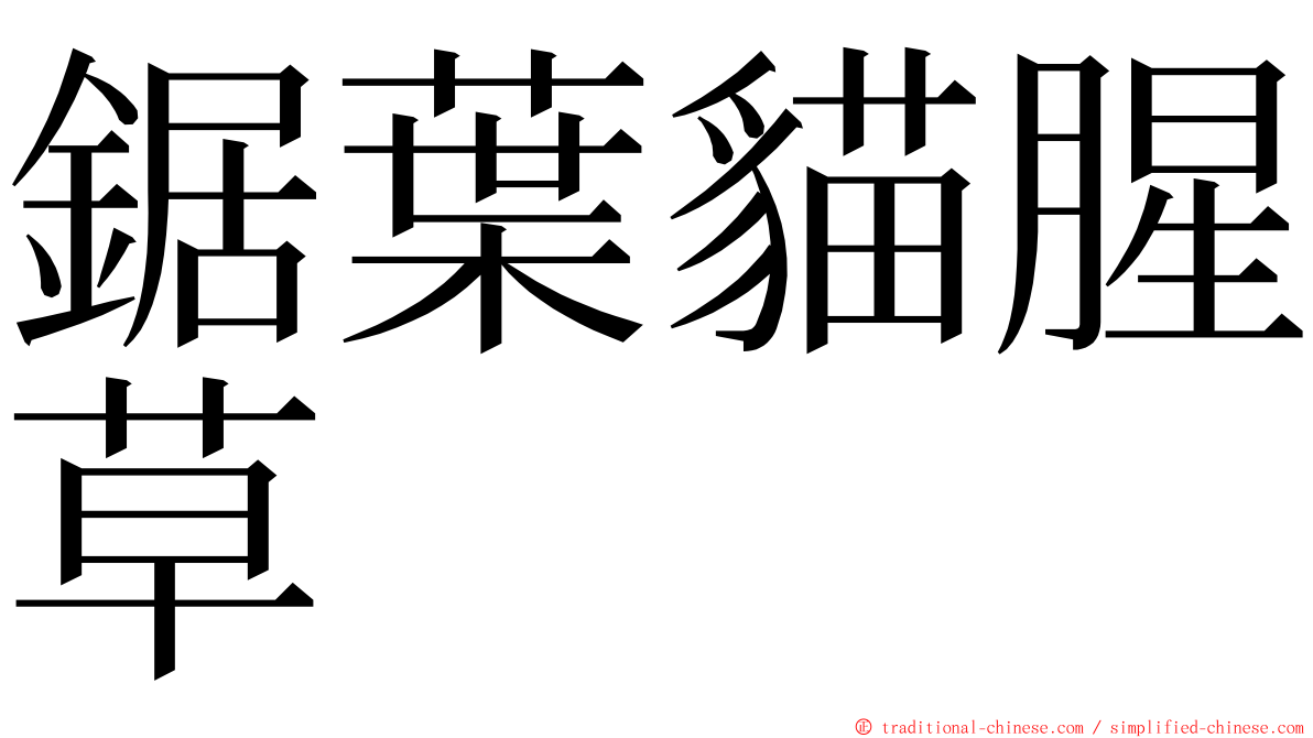 鋸葉貓腥草 ming font