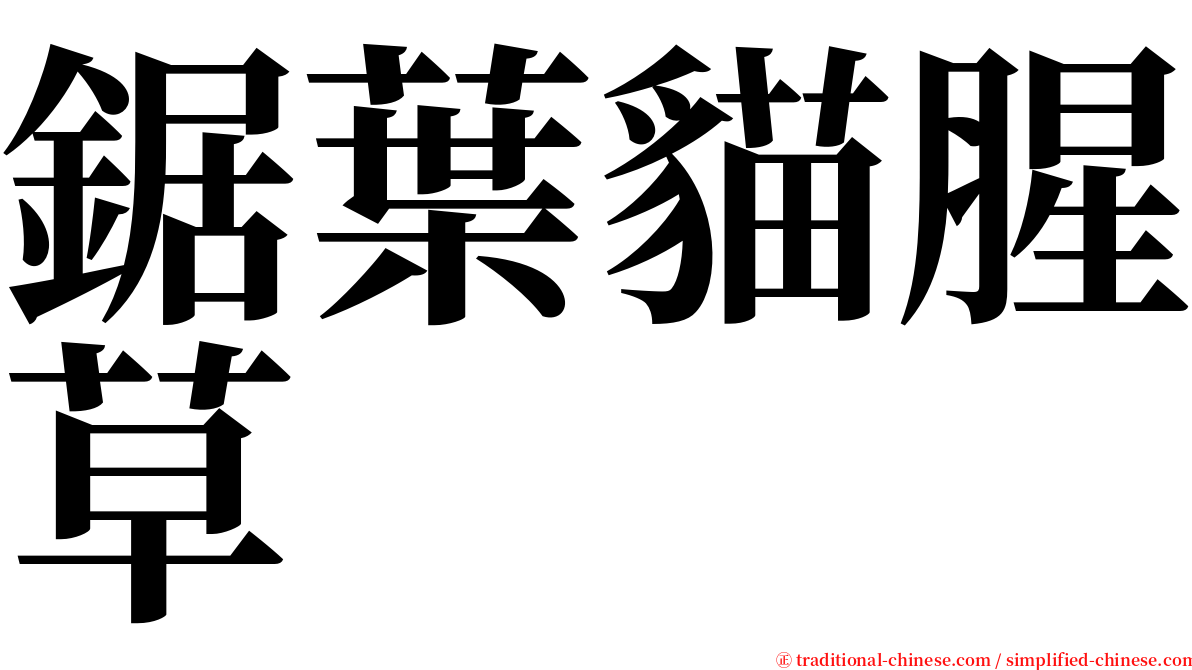 鋸葉貓腥草 serif font