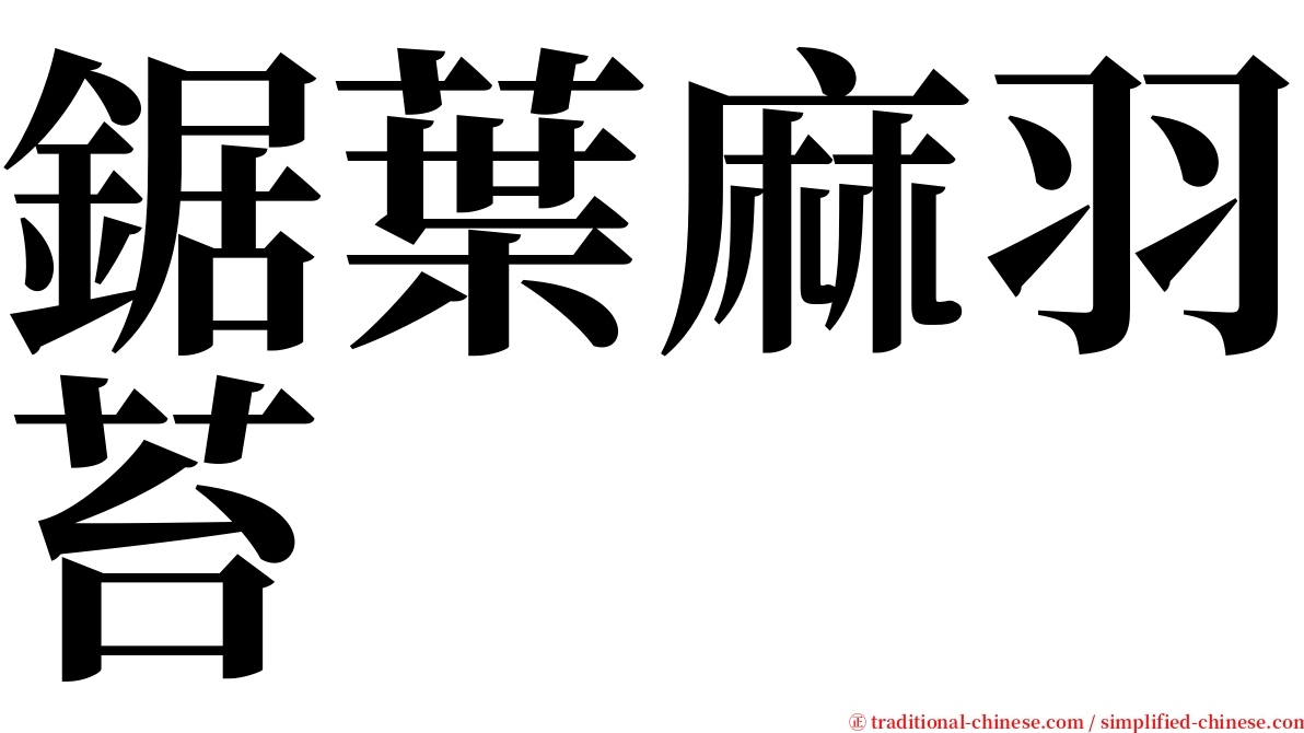 鋸葉麻羽苔 serif font