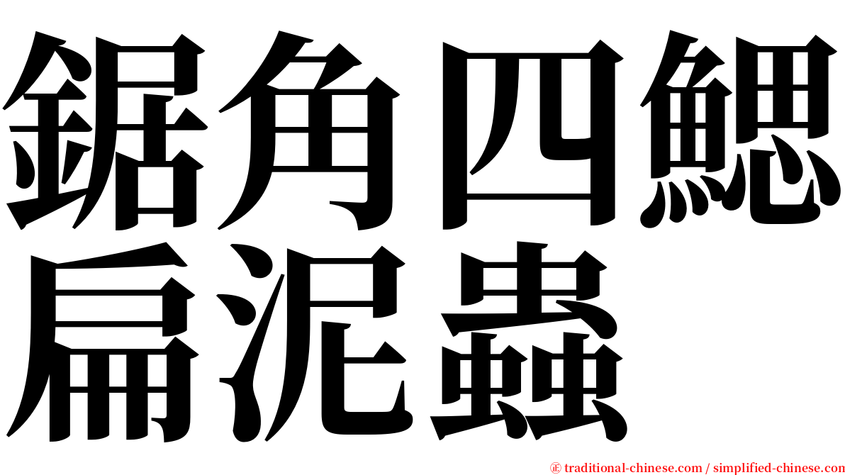 鋸角四鰓扁泥蟲 serif font