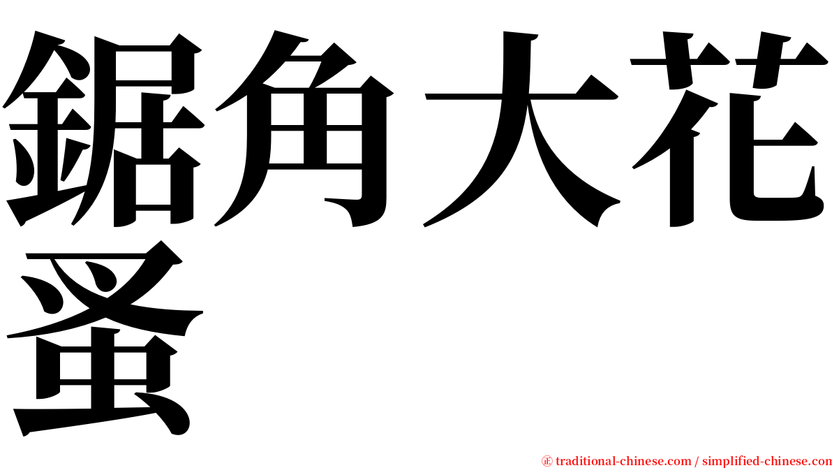 鋸角大花蚤 serif font