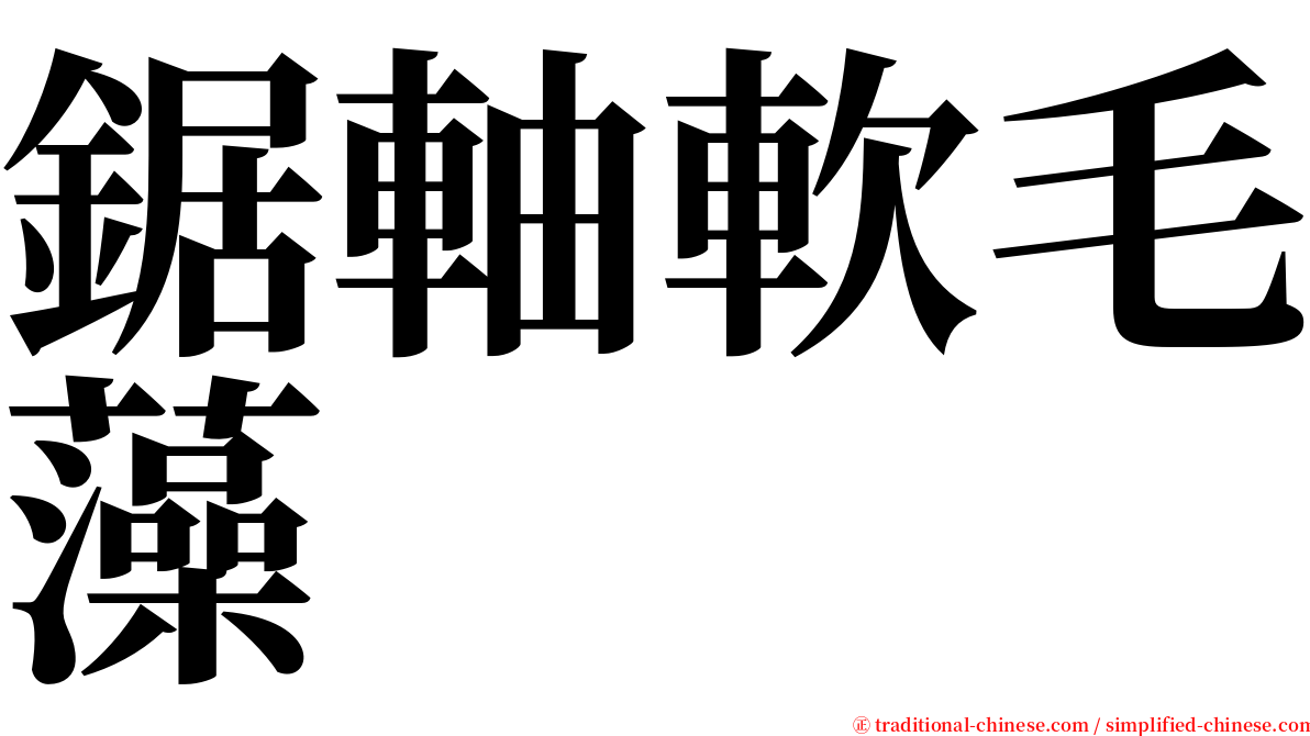 鋸軸軟毛藻 serif font