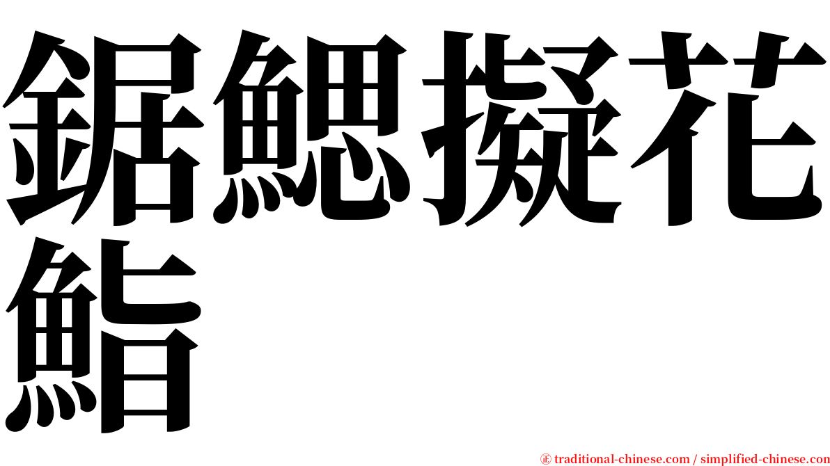鋸鰓擬花鮨 serif font