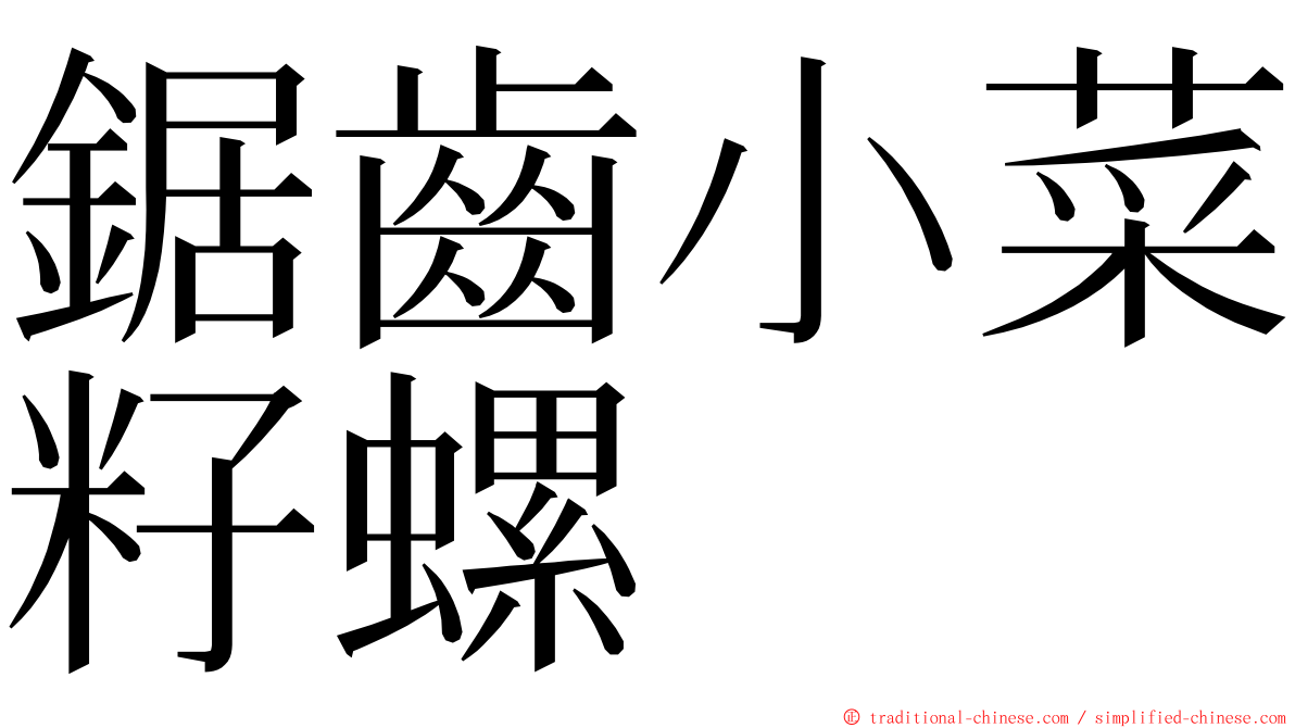 鋸齒小菜籽螺 ming font