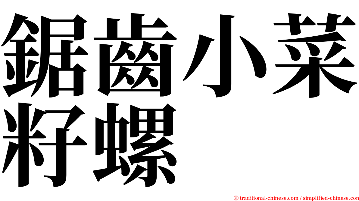 鋸齒小菜籽螺 serif font