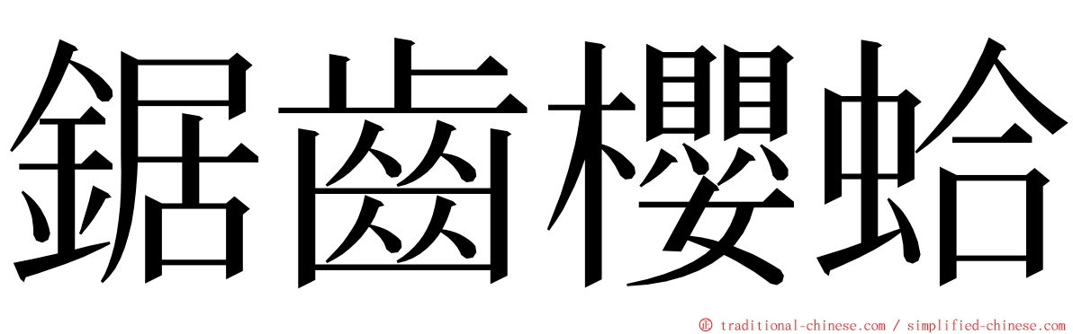 鋸齒櫻蛤 ming font