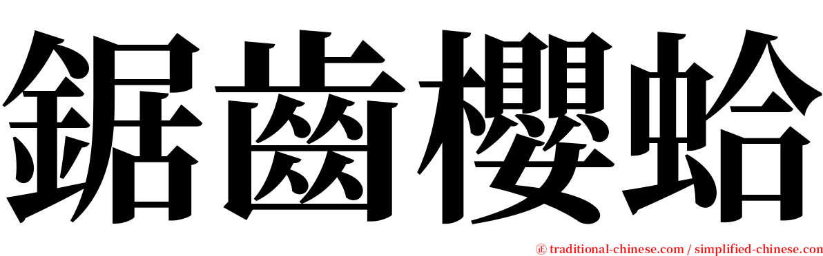 鋸齒櫻蛤 serif font