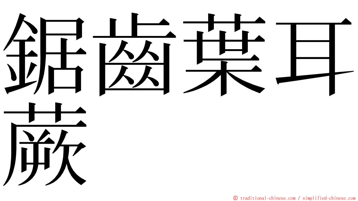 鋸齒葉耳蕨 ming font