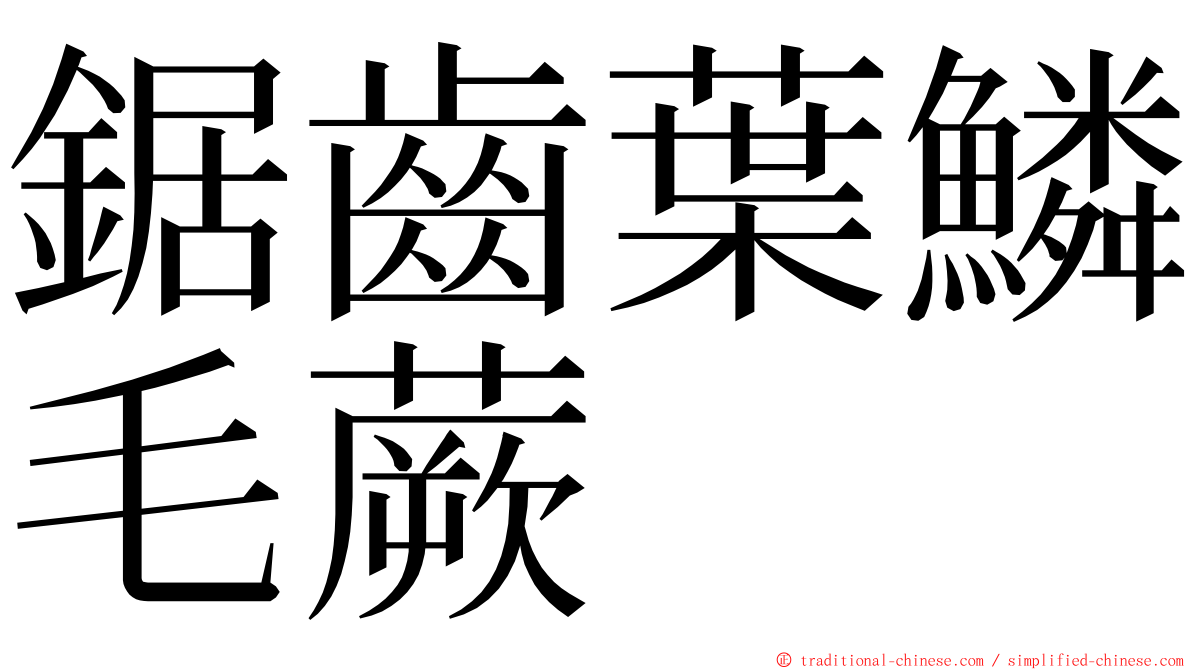 鋸齒葉鱗毛蕨 ming font