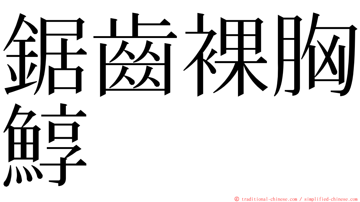 鋸齒裸胸鯙 ming font