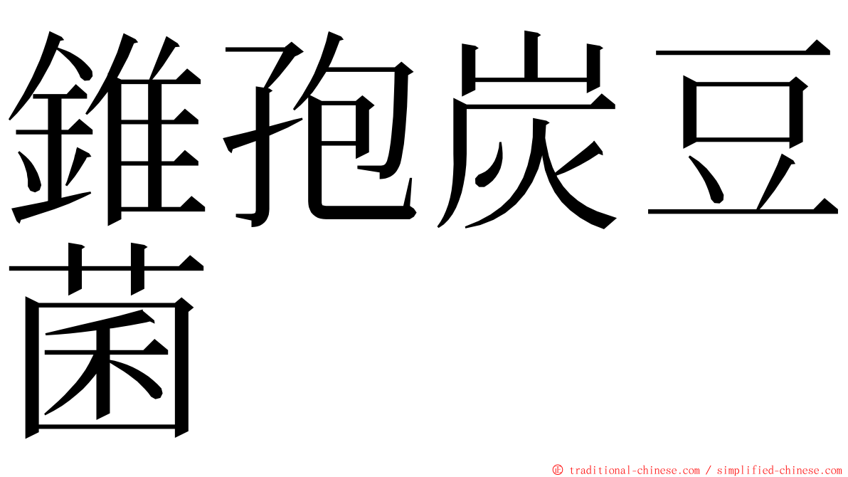 錐孢炭豆菌 ming font